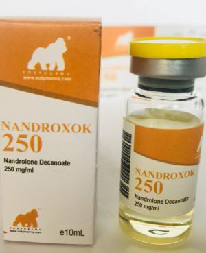 Nandroxok 250mg/ml per 10ml